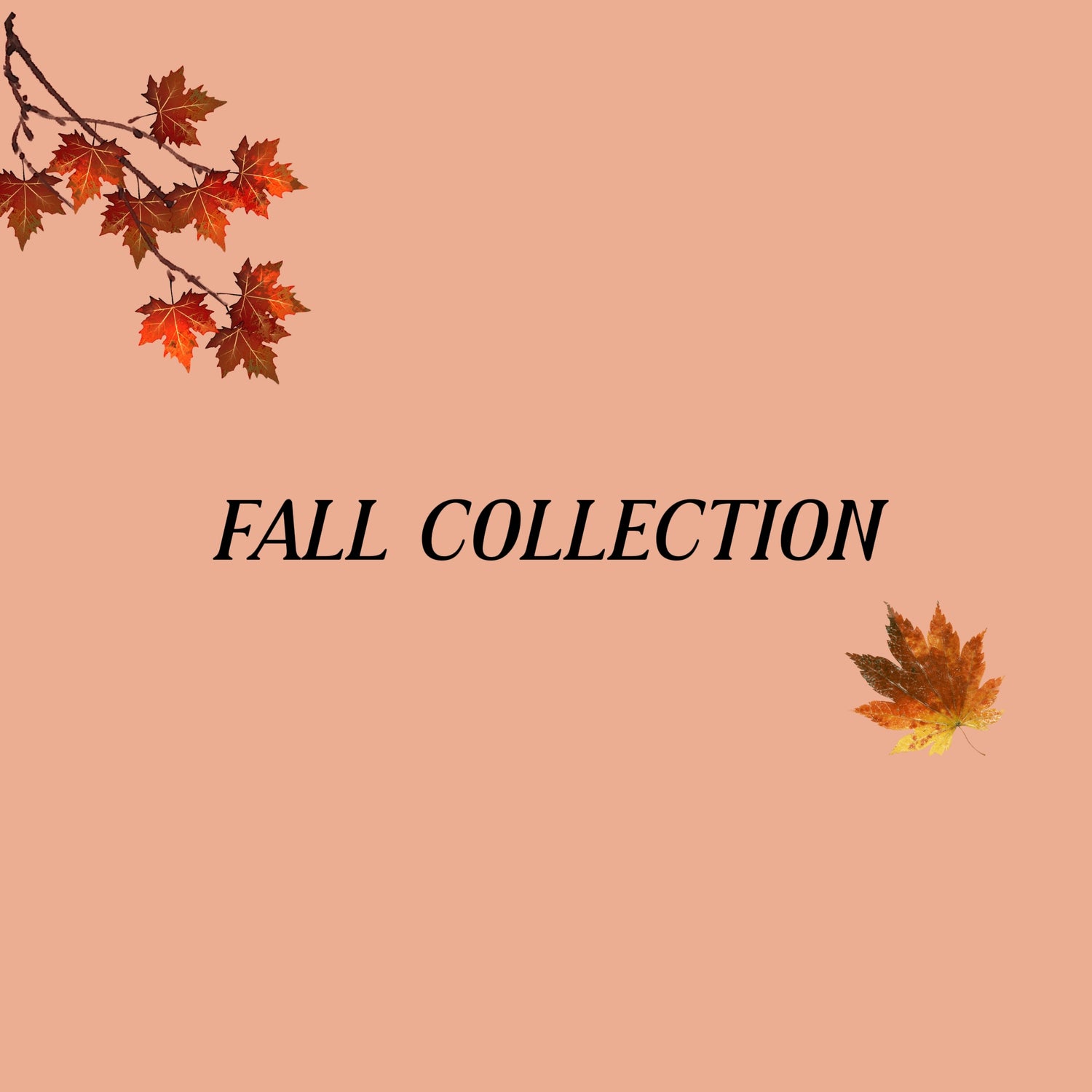 Fall Collection